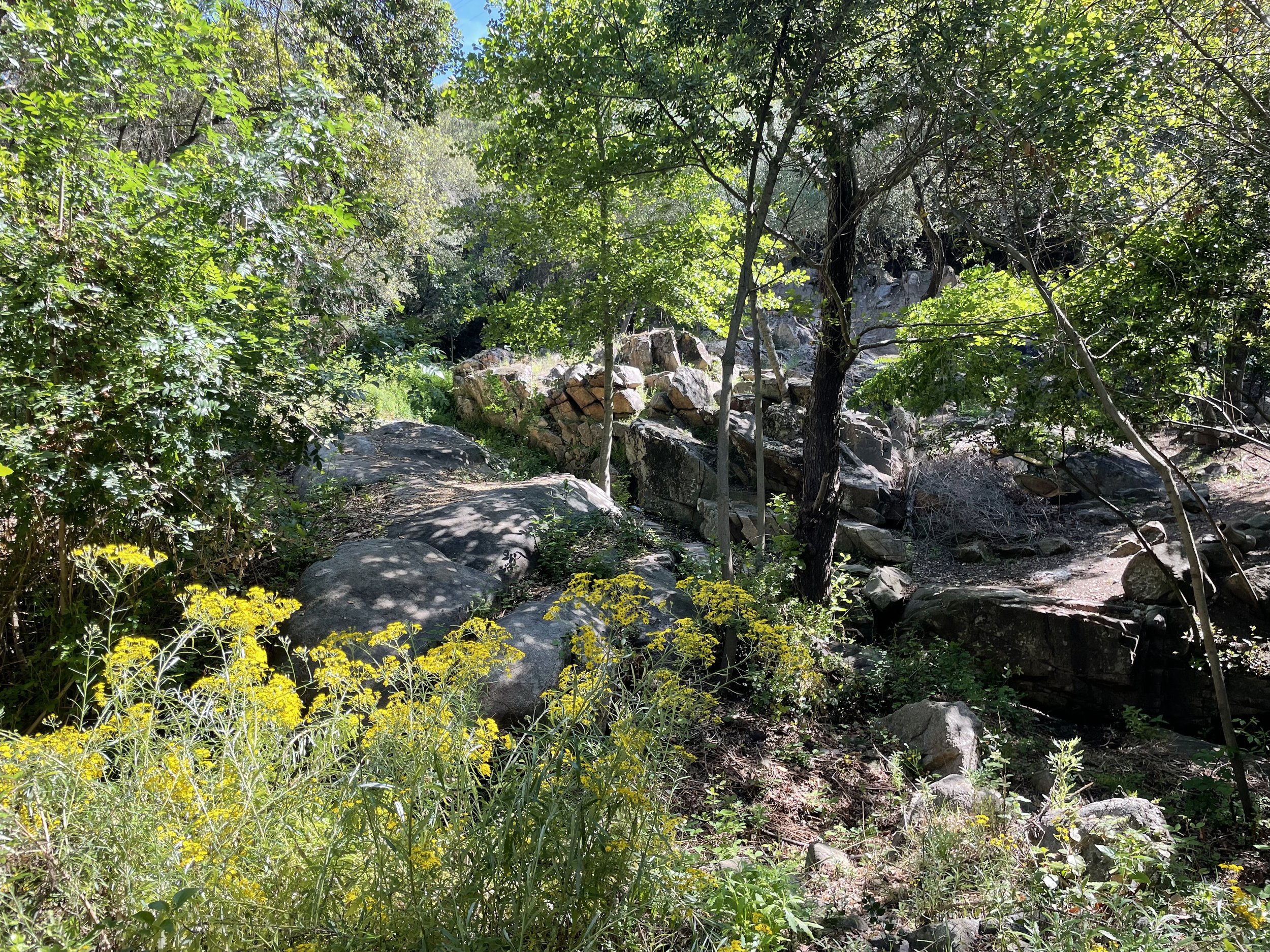 The land — rocks and forest