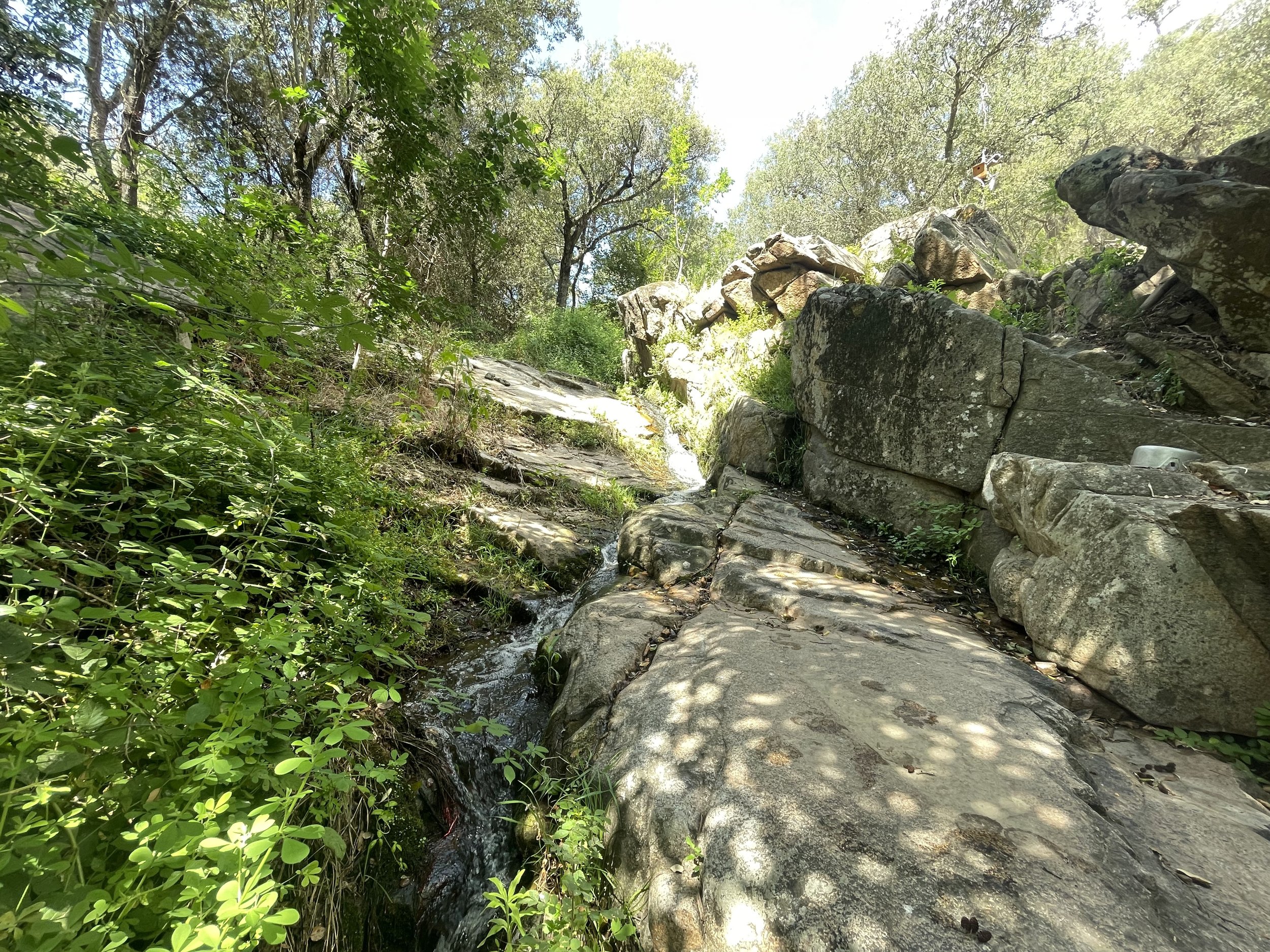 The land — the site